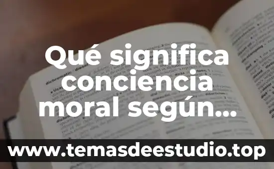Que es desarrollo psicosexual segun freud 6 Qué significa conciencia moral según Freud