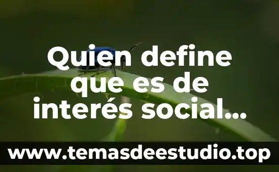 Quien define que es de interés social en México