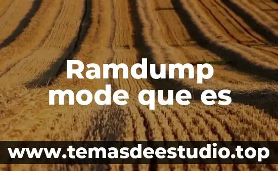 Ramdump mode que es