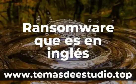 ¿Qué es significa greedy coloring en inglés a español? 4 Ransomware que es en inglés