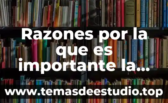 Qué es más importante en la exploración abdominal 6 Razones por la que es importante la fotosíntesis