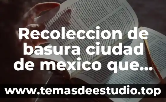 Por que es bueno saber la historia de nuestra ciudad 8 Recoleccion de basura ciudad de mexico que es