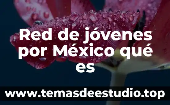 Red de jóvenes por México qué es