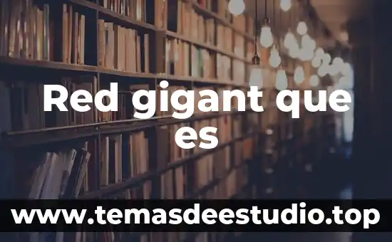 Qué es la campo concepto 5 Red gigant que es