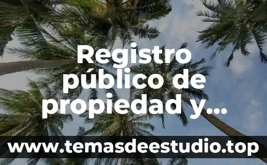 Que es la arquitectura de procesador 5 Registro público de propiedad y comercio Querétaro que es