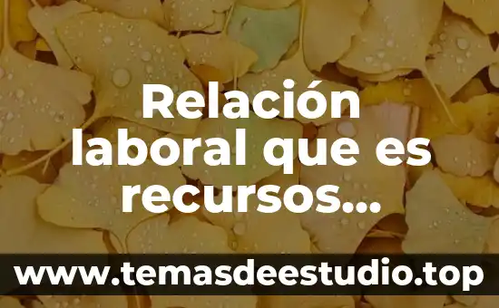 Que es un auxiliar de recursos humanos en un hotel 6 Relación laboral que es recursos humanos