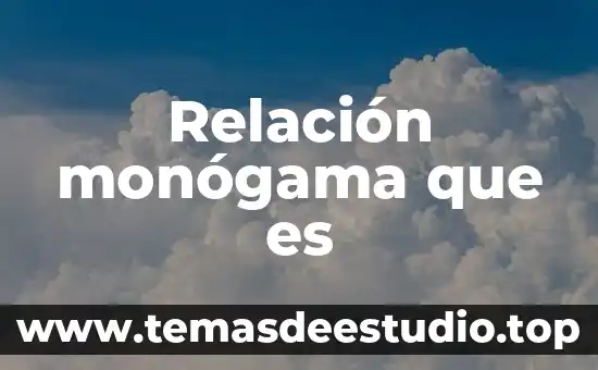 Relación monógama que es