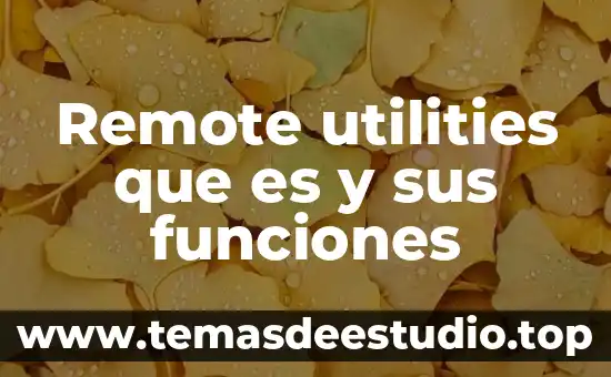Que es el faraon y sus funciones 5 Remote utilities que es y sus funciones