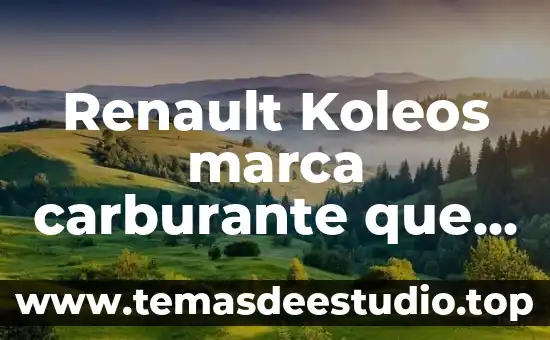Marca que es una bandera azul con rojo 6 Renault Koleos marca carburante que es