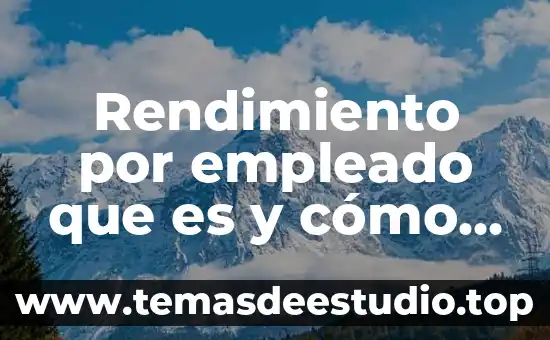 Rendimiento por empleado que es y cómo se calcula