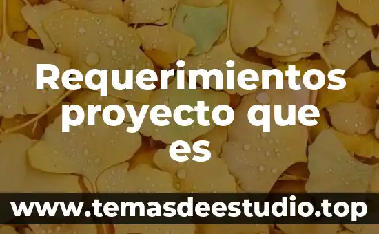 Que es un proyecto de investigación conclusión de la importancia 4 Requerimientos proyecto que es