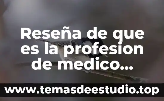 Que es un examen medico fisico 5 Reseña de que es la profesion de medico veterinario