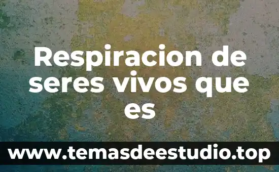 Que es la respiración de los seres vivos 8 Respiracion de seres vivos que es