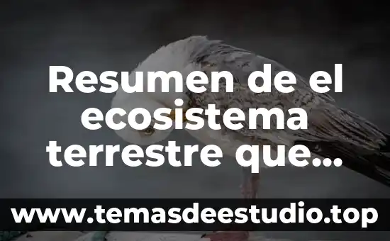 Qué es un ecosistema y sus elementos 4 Resumen de el ecosistema terrestre que es tundra