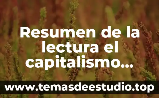 Resumen de la lectura el capitalismo que es