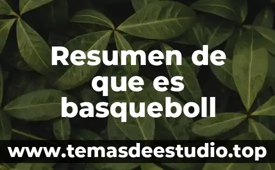Que es fetiche resumen 7 Resumen de que es basqueboll