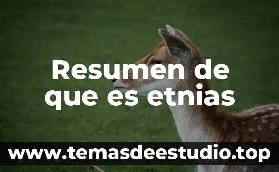 Que es materia resumen 4 Resumen de que es etnias