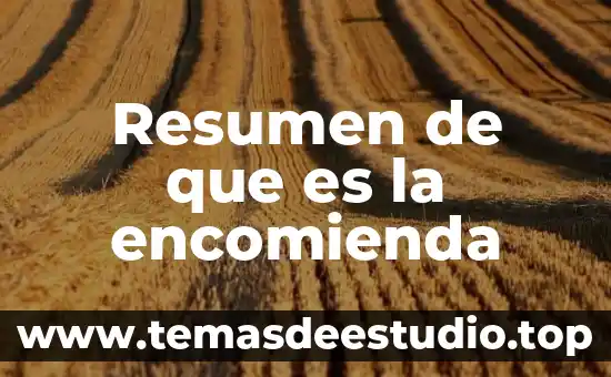 Que es un relato resumen 6 Resumen de que es la encomienda