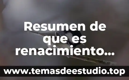 Que es el impresionismo movimiento artistico 4 Resumen de que es renacimiento largo