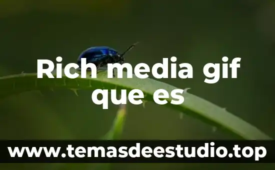 Rich media gif que es