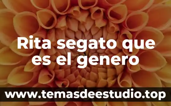 Que es el genero formacion 3 Rita segato que es el genero