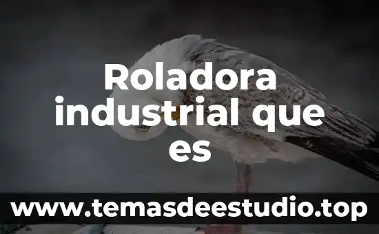 Que es material industrial 7 Roladora industrial que es
