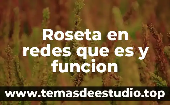 Qué es el sp en redes 3 Roseta en redes que es y funcion