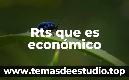 Rts que es económico