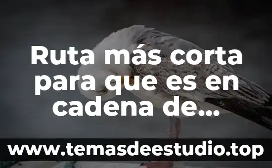 Que es la entrega de valores ala cadena de suministros 5 Ruta más corta para que es en cadena de suministro