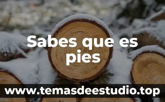 Sabes que es pies