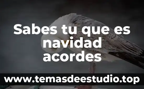 Sabes tu que es navidad acordes