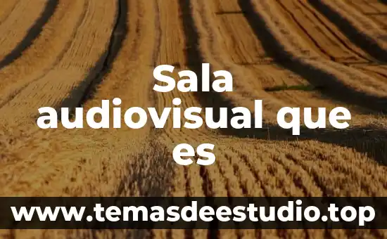 Que es una sala de chat irc 7 Sala audiovisual que es