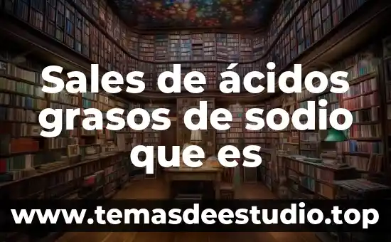 Qué es ácidos carboxílicos 3 Sales de ácidos grasos de sodio que es