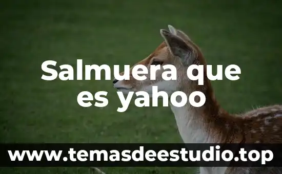 Que es la cultura romana yahoo 5 Salmuera que es yahoo
