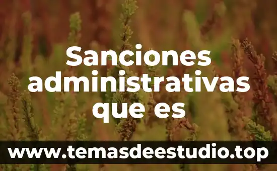 Sanciones administrativas que es