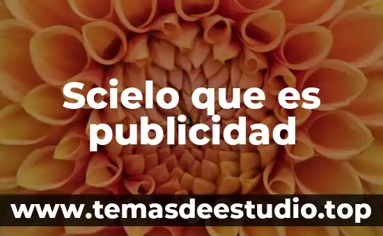 Que es un patrocinio en publicidad 5 Scielo que es publicidad