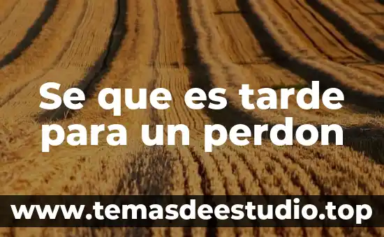 De un concepto de lo que es el perdón 4 Se que es tarde para un perdon