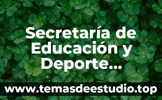 Secretaría de Educación y Deporte Chihuahua Chih que es