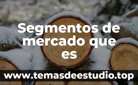 Qué es el mercado mexicano de valores 5 Segmentos de mercado que es