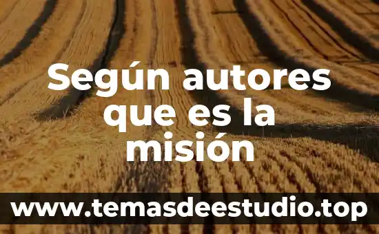 Según autores que es la misión