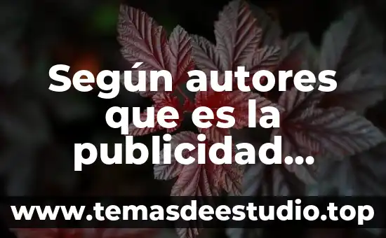 Qué es supervisión según autores 6 Según autores que es la publicidad política