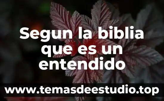 Que es la biblia para niños presentacion 5 Segun la biblia que es un entendido