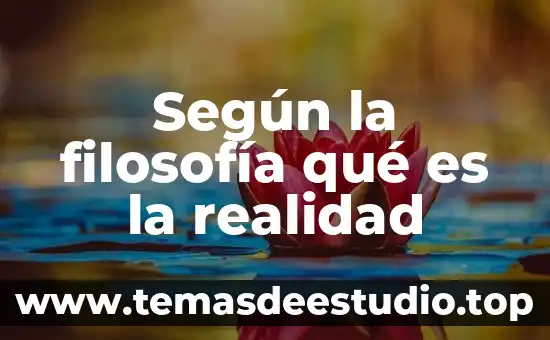 Qué es la filosofía cartesiana y su duda 4 Según la filosofía qué es la realidad