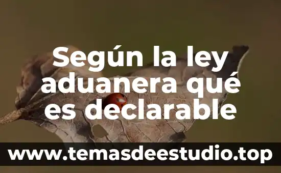 Que es la actividad aduanera 7 Según la ley aduanera qué es declarable