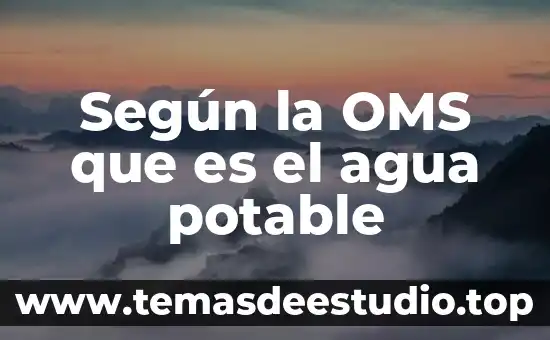 Que es una planta potabilizadora de agua potable 6 Según la OMS que es el agua potable
