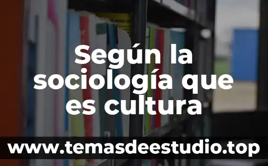 Según la sociología que es cultura