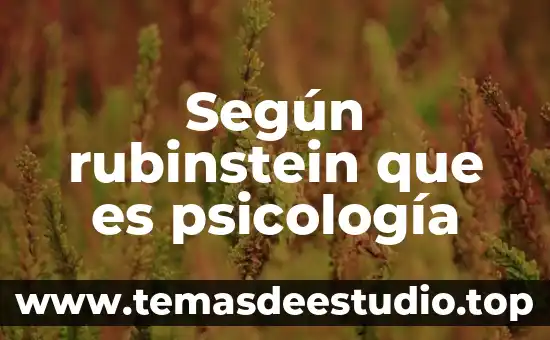 Qué es el significado según 6 Según rubinstein que es psicología