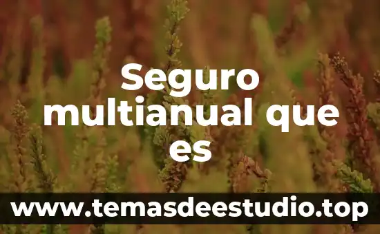Qué es y cómo funcionan los afores 3 Seguro multianual que es