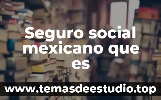 Seguro social mexicano que es