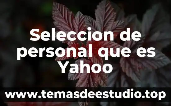 Seleccion de personal que es Yahoo
